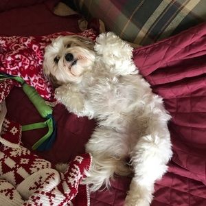 Meet your Posher, Kayla